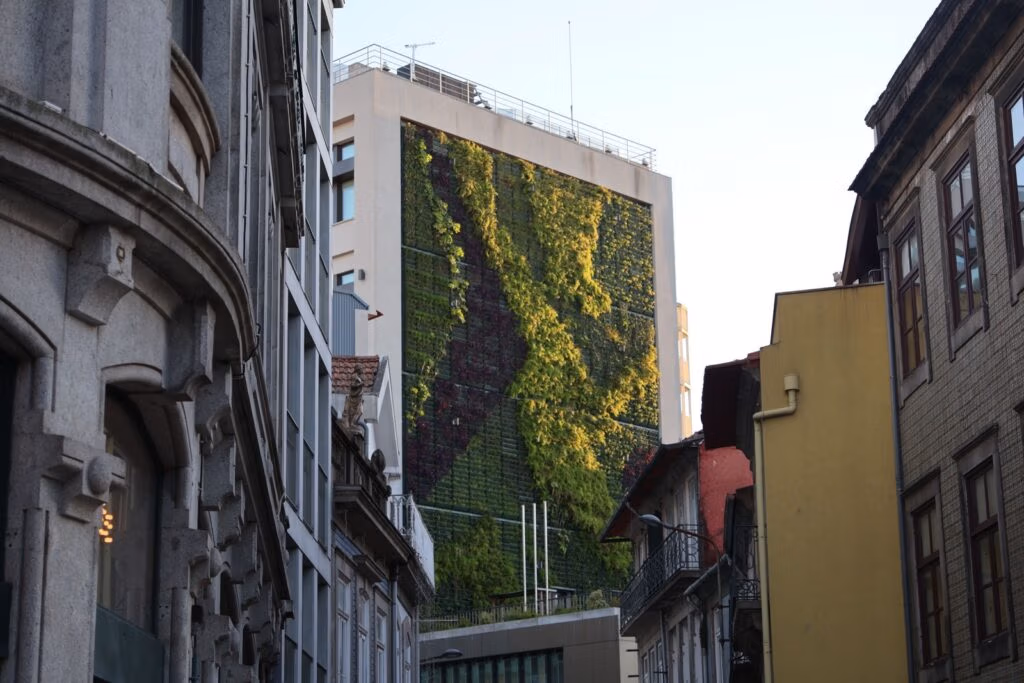 Living green wall covering the side of a modern city building