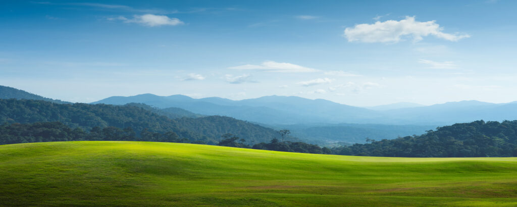 green fields with mountains in the background