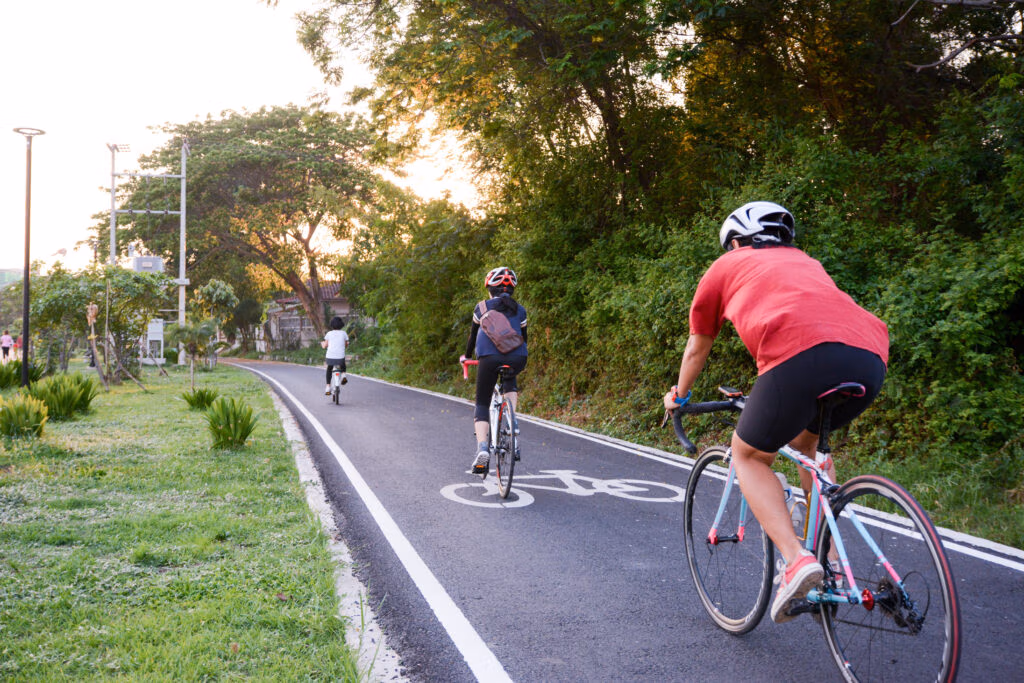 Bicycle lane through a park